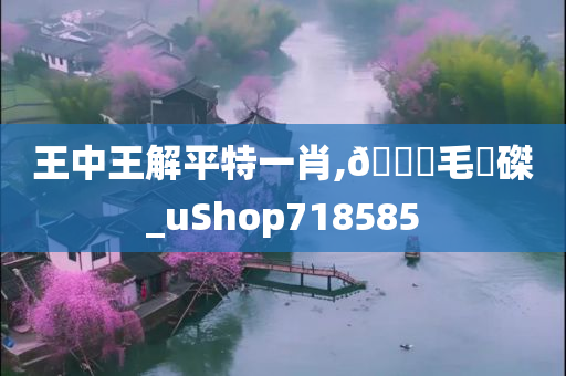 王中王解平特一肖,??毛蝟磔_uShop718585