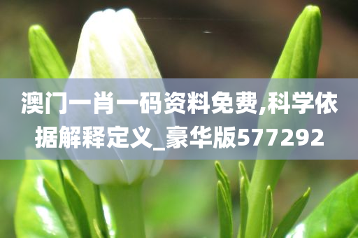 澳门一肖一码资料免费,科学依据解释定义_豪华版577292