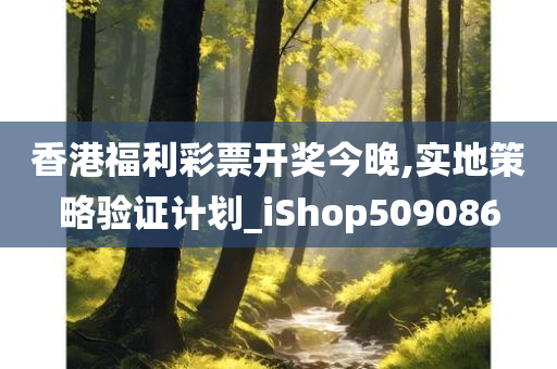 香港福利彩票开奖今晚,实地策略验证计划_iShop509086