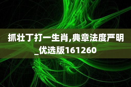 抓壮丁打一生肖,典章法度严明_优选版161260