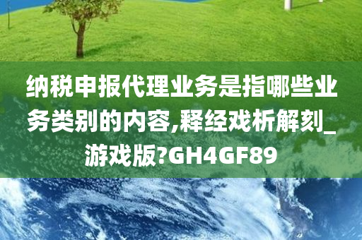 纳税申报代理业务是指哪些业务类别的内容,释经戏析解刻_游戏版?GH4GF89