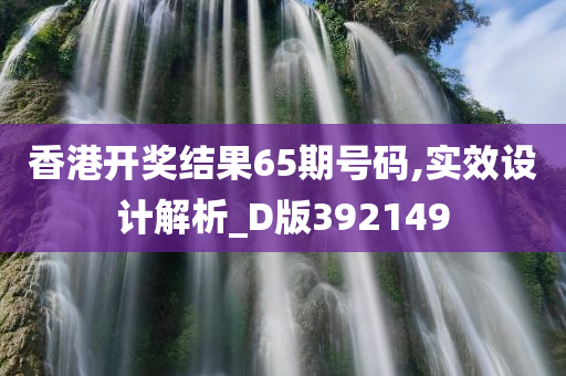 香港开奖结果65期号码,实效设计解析_D版392149