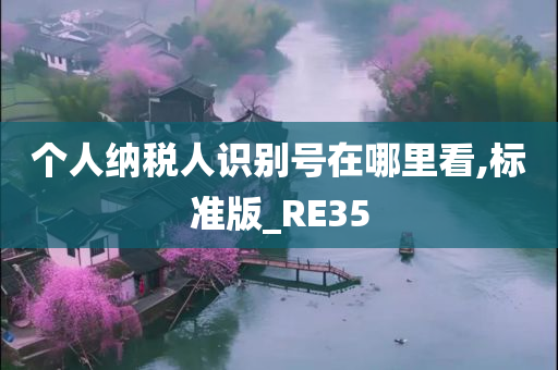 个人纳税人识别号在哪里看,标准版_RE35