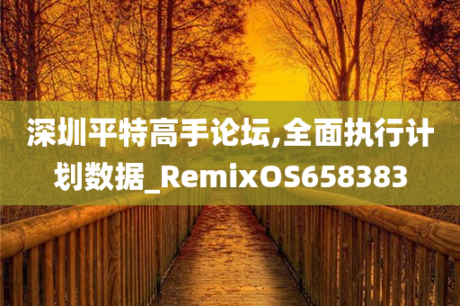 深圳平特高手论坛,全面执行计划数据_RemixOS658383