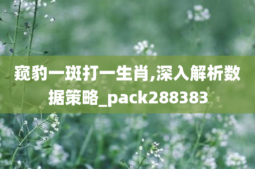 窥豹一斑打一生肖,深入解析数据策略_pack288383