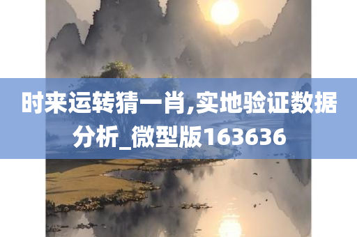 时来运转猜一肖,实地验证数据分析_微型版163636