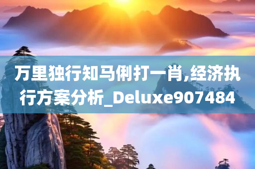 万里独行知马俐打一肖,经济执行方案分析_Deluxe907484