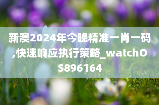 新澳2024年今晚精准一肖一码,快速响应执行策略_watchOS896164