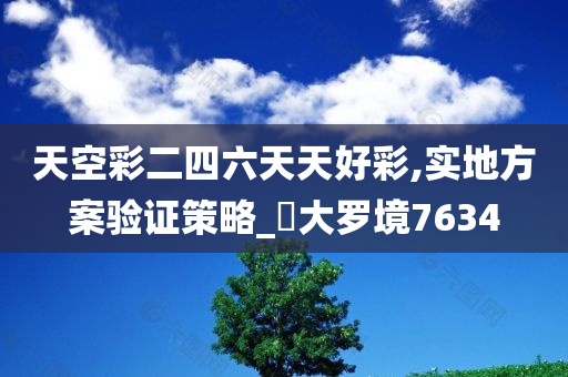 天空彩二四六天天好彩,实地方案验证策略_?大罗境7634