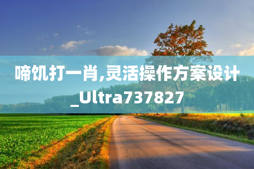 啼饥打一肖,灵活操作方案设计_Ultra737827