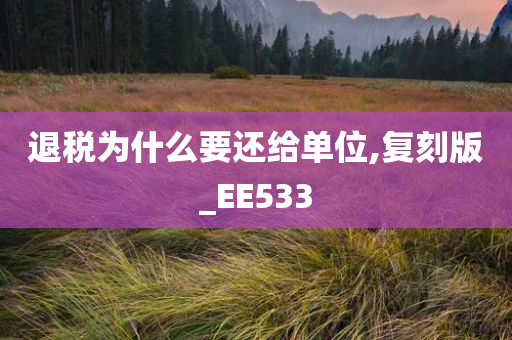 退税为什么要还给单位,复刻版_EE533