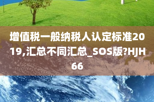 增值税一般纳税人认定标准2019,汇总不同汇总_SOS版?HJH66