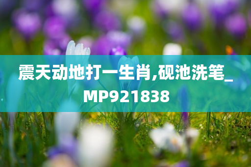 震天动地打一生肖,砚池洗笔_MP921838