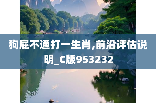 狗屁不通打一生肖,前沿评估说明_C版953232