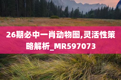 26期必中一肖动物图,灵活性策略解析_MR597073