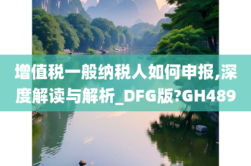 增值税一般纳税人如何申报,深度解读与解析_DFG版?GH489