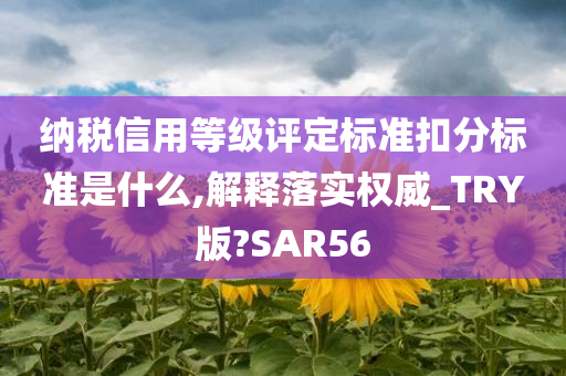 纳税信用等级评定标准扣分标准是什么,解释落实权威_TRY版?SAR56