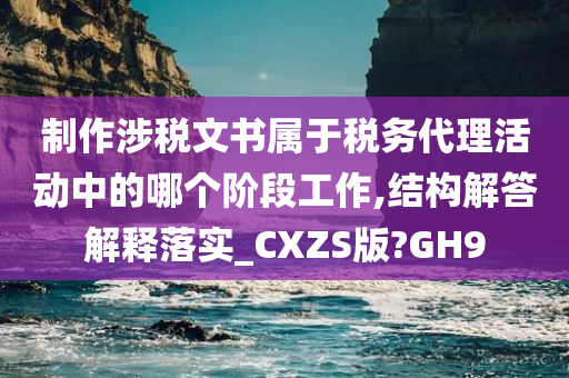 制作涉税文书属于税务代理活动中的哪个阶段工作,结构解答解释落实_CXZS版?GH9