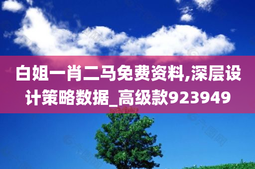 白姐一肖二马免费资料,深层设计策略数据_高级款923949