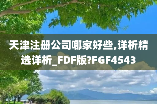 天津注册公司哪家好些,详析精选详析_FDF版?FGF4543