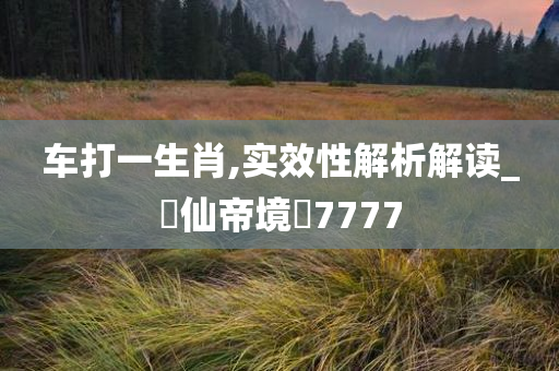 车打一生肖,实效性解析解读_?仙帝境?7777