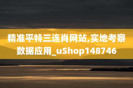 精准平特三连肖网站,实地考察数据应用_uShop148746