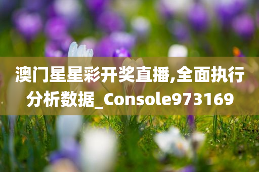 澳门星星彩开奖直播,全面执行分析数据_Console973169