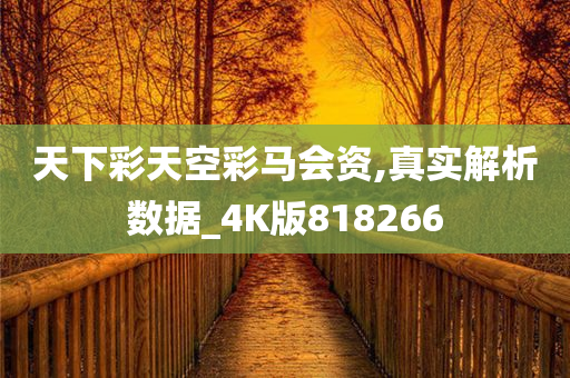 天下彩天空彩马会资,真实解析数据_4K版818266