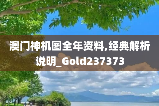 澳门神机图全年资料,经典解析说明_Gold237373