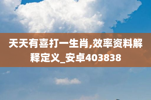 天天有喜打一生肖,效率资料解释定义_安卓403838