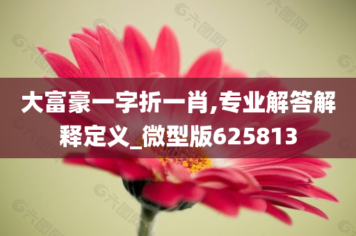 大富豪一字折一肖,专业解答解释定义_微型版625813