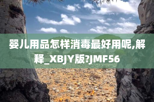 婴儿用品怎样消毒最好用呢,解释_XBJY版?JMF56