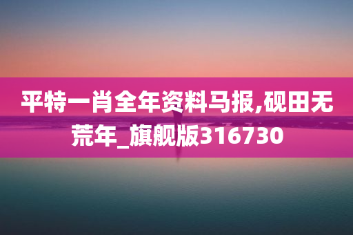 平特一肖全年资料马报,砚田无荒年_旗舰版316730