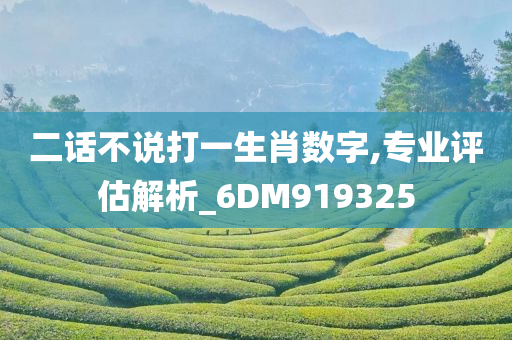 二话不说打一生肖数字,专业评估解析_6DM919325