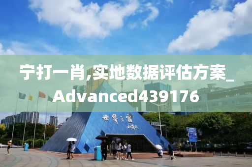 宁打一肖,实地数据评估方案_Advanced439176