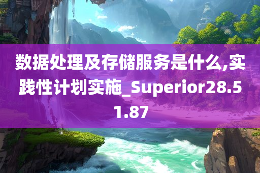 数据处理及存储服务是什么,实践性计划实施_Superior28.51.87