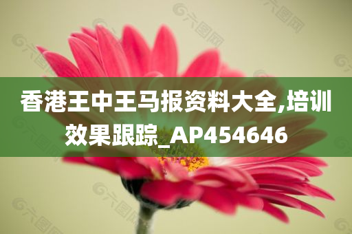 香港王中王马报资料大全,培训效果跟踪_AP454646