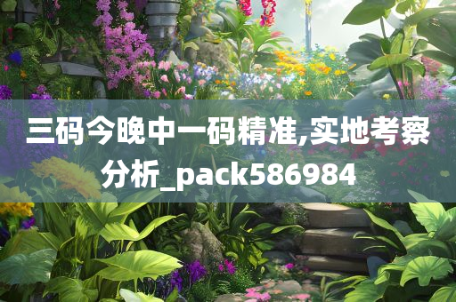 三码今晚中一码精准,实地考察分析_pack586984