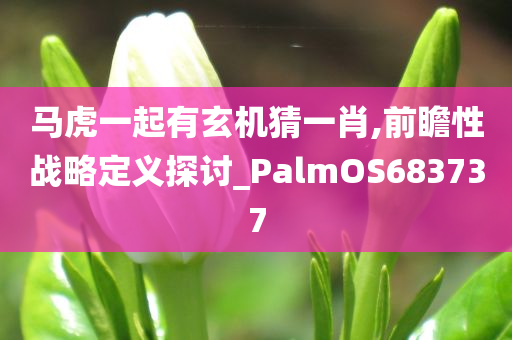 马虎一起有玄机猜一肖,前瞻性战略定义探讨_PalmOS683737