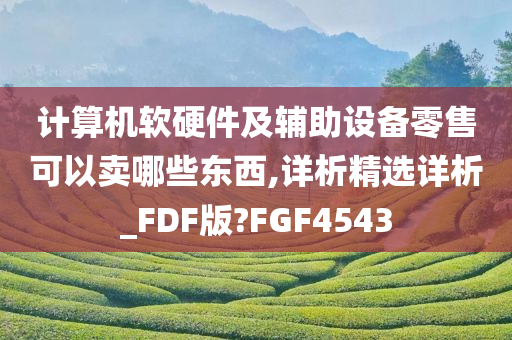 计算机软硬件及辅助设备零售可以卖哪些东西,详析精选详析_FDF版?FGF4543