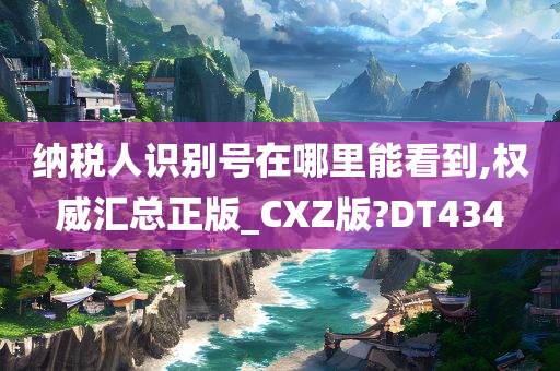 纳税人识别号在哪里能看到,权威汇总正版_CXZ版?DT434