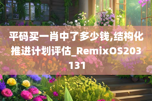 平码买一肖中了多少钱,结构化推进计划评估_RemixOS203131