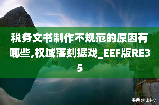 税务文书制作不规范的原因有哪些,权域落刻据戏_EEF版RE35