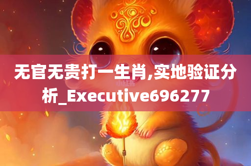 无官无贵打一生肖,实地验证分析_Executive696277