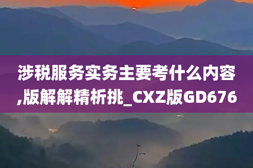 涉税服务实务主要考什么内容,版解解精析挑_CXZ版GD676