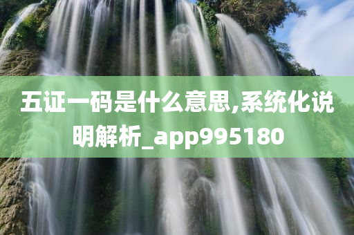 五证一码是什么意思,系统化说明解析_app995180