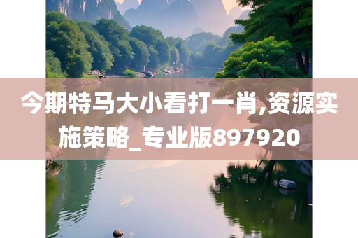 今期特马大小看打一肖,资源实施策略_专业版897920