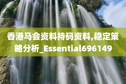 香港马会资料持码资料,稳定策略分析_Essential696149