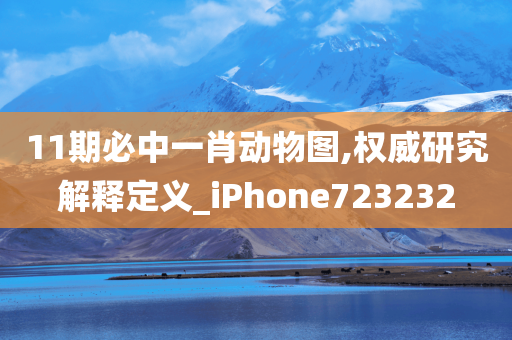 11期必中一肖动物图,权威研究解释定义_iPhone723232