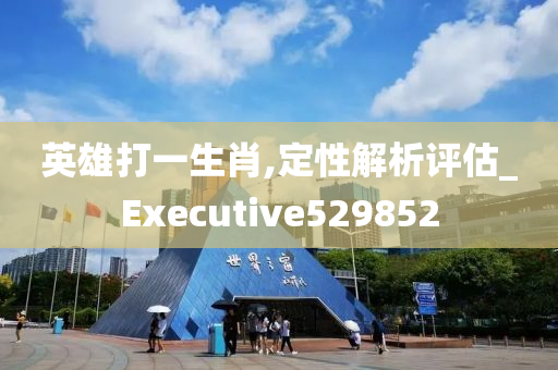 英雄打一生肖,定性解析评估_Executive529852